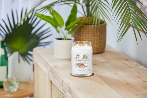 Bissolo Casa Yankee Candle Giare Grandi<YANKEE CANDLE - GIARA GRANDE 2 STOPPINI COCONUT BEACH: vendita online YANKEE CANDLE - GIARA GRANDE 2 STOPPINI COCONUT BEACH in offerta