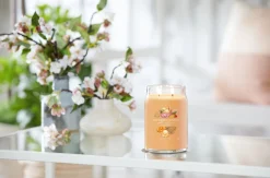 Bissolo Casa Yankee Candle Giare Grandi<YANKEE CANDLE - GIARA GRANDE 2 STOPPINI MANGO ICE CREAM: vendita online YANKEE CANDLE - GIARA GRANDE 2 STOPPINI MANGO ICE CREAM in offerta