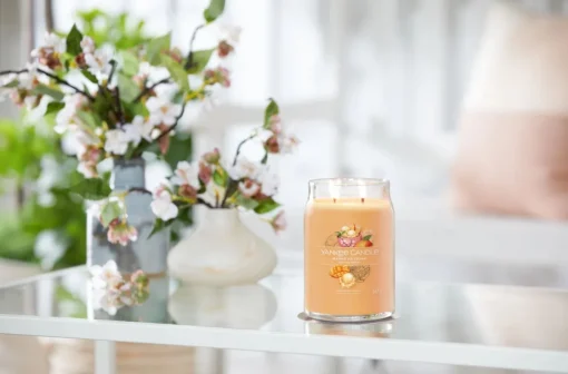 Bissolo Casa Yankee Candle Giare Grandi<YANKEE CANDLE - GIARA GRANDE 2 STOPPINI MANGO ICE CREAM: vendita online YANKEE CANDLE - GIARA GRANDE 2 STOPPINI MANGO ICE CREAM in offerta