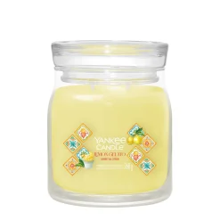 Bissolo Casa Yankee Candle Giare Medie<YANKEE CANDLE - GIARA MEDIA 2 STOPPINI LEMON GELATO: vendita online YANKEE CANDLE - GIARA MEDIA 2 STOPPINI LEMON GELATO in offerta