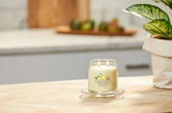 Bissolo Casa Yankee Candle Giare Medie<YANKEE CANDLE - GIARA MEDIA 2 STOPPINI ICED BERRY LEMONADE: vendita online YANKEE CANDLE - GIARA MEDIA 2 STOPPINI ICED BERRY LEMONADE in offerta