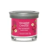 Bissolo Casa Yankee Candle Tumbler Piccoli<YANKEE CANDLE - TUMBLER PICCOLO RED RASPBERRY: vendita online YANKEE CANDLE - TUMBLER PICCOLO RED RASPBERRY in offerta
