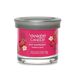 Bissolo Casa Yankee Candle Tumbler Piccoli<YANKEE CANDLE - TUMBLER PICCOLO RED RASPBERRY: vendita online YANKEE CANDLE - TUMBLER PICCOLO RED RASPBERRY in offerta
