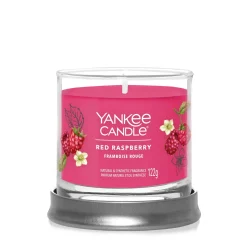 Bissolo Casa Yankee Candle Tumbler Piccoli<YANKEE CANDLE - TUMBLER PICCOLO RED RASPBERRY: vendita online YANKEE CANDLE - TUMBLER PICCOLO RED RASPBERRY in offerta
